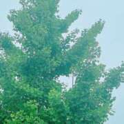 ヒメ日記 2025/05/14 11:54 投稿 宇野えみり 禁断のメンズエステR-18堺・南大阪店