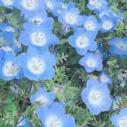 ヒメ日記 2025/05/18 19:34 投稿 宇野えみり 禁断のメンズエステR-18堺・南大阪店