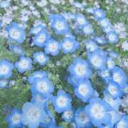 ヒメ日記 2025/05/31 14:14 投稿 宇野えみり 禁断のメンズエステR-18堺・南大阪店