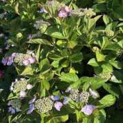 ヒメ日記 2025/06/07 13:34 投稿 宇野えみり 禁断のメンズエステR-18堺・南大阪店