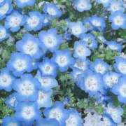 ヒメ日記 2025/06/10 13:14 投稿 宇野えみり 禁断のメンズエステR-18堺・南大阪店