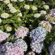 ヒメ日記 2025/06/23 16:14 投稿 宇野えみり 禁断のメンズエステR-18堺・南大阪店