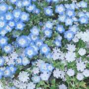 ヒメ日記 2025/07/19 07:04 投稿 宇野えみり 禁断のメンズエステR-18堺・南大阪店