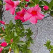 ヒメ日記 2025/07/31 13:44 投稿 宇野えみり 禁断のメンズエステR-18堺・南大阪店