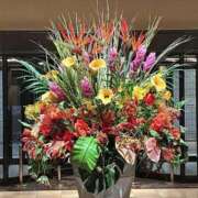 ヒメ日記 2025/08/09 17:34 投稿 宇野えみり 禁断のメンズエステR-18堺・南大阪店