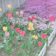 ヒメ日記 2025/09/27 13:54 投稿 宇野えみり 禁断のメンズエステR-18堺・南大阪店