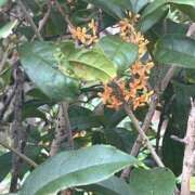 ヒメ日記 2025/09/30 13:44 投稿 宇野えみり 禁断のメンズエステR-18堺・南大阪店