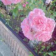 ヒメ日記 2025/10/20 18:28 投稿 宇野えみり 禁断のメンズエステR-18堺・南大阪店