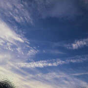 ヒメ日記 2025/10/24 17:14 投稿 宇野えみり 禁断のメンズエステR-18堺・南大阪店