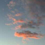 ヒメ日記 2025/11/04 17:04 投稿 宇野えみり 禁断のメンズエステR-18堺・南大阪店