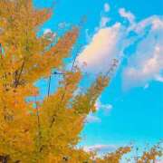 ヒメ日記 2025/11/07 15:34 投稿 宇野えみり 禁断のメンズエステR-18堺・南大阪店