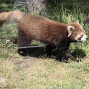 ヒメ日記 2025/11/07 17:14 投稿 宇野えみり 禁断のメンズエステR-18堺・南大阪店