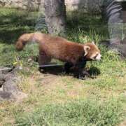 ヒメ日記 2025/11/20 17:14 投稿 宇野えみり 禁断のメンズエステR-18堺・南大阪店