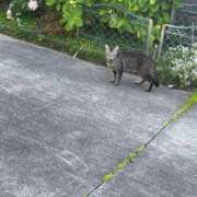 ヒメ日記 2025/11/25 14:34 投稿 宇野えみり 禁断のメンズエステR-18堺・南大阪店