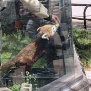 ヒメ日記 2025/11/29 14:14 投稿 宇野えみり 禁断のメンズエステR-18堺・南大阪店