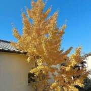 ヒメ日記 2025/12/01 11:14 投稿 宇野えみり 禁断のメンズエステR-18堺・南大阪店