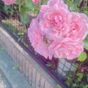 宇野えみり 出勤します💖 禁断のメンズエステR-18堺・南大阪店