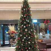 ヒメ日記 2025/12/14 12:54 投稿 宇野えみり 禁断のメンズエステR-18堺・南大阪店