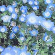 ヒメ日記 2026/02/25 14:44 投稿 宇野えみり 禁断のメンズエステR-18堺・南大阪店