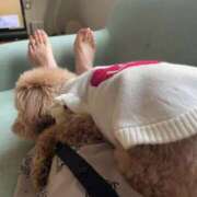 ヒメ日記 2025/03/24 17:18 投稿 みく マドンナSANSAIN