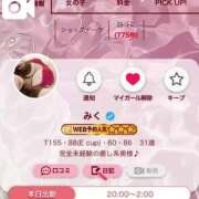 ヒメ日記 2025/04/14 14:08 投稿 みく マドンナSANSAIN