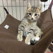 ヒメ日記 2025/06/18 09:58 投稿 みく マドンナSANSAIN