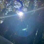 ヒメ日記 2025/03/19 13:18 投稿 かのんさん いけない奥さん 十三店