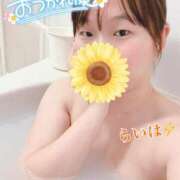 ヒメ日記 2025/01/08 20:01 投稿 卯月 らいは ノーパンパンスト スケベなOL梅田・兎我野店