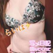 ヒメ日記 2025/01/12 07:31 投稿 卯月 らいは ノーパンパンスト スケベなOL梅田・兎我野店