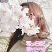 ヒメ日記 2025/04/13 11:15 投稿 卯月 らいは ノーパンパンスト スケベなOL梅田・兎我野店