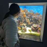 ヒメ日記 2025/07/17 22:36 投稿 卯月 らいは ノーパンパンスト スケベなOL梅田・兎我野店