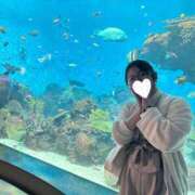 ヒメ日記 2025/10/25 19:33 投稿 卯月 らいは ノーパンパンスト スケベなOL梅田・兎我野店