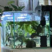 ヒメ日記 2025/11/13 20:01 投稿 卯月 らいは ノーパンパンスト スケベなOL梅田・兎我野店