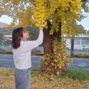 ヒメ日記 2025/11/24 20:59 投稿 卯月 らいは ノーパンパンスト スケベなOL梅田・兎我野店