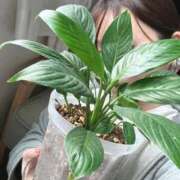 ヒメ日記 2026/02/24 18:30 投稿 卯月 らいは ノーパンパンスト スケベなOL梅田・兎我野店