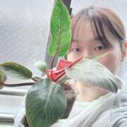 ヒメ日記 2026/04/21 07:30 投稿 卯月 らいは ノーパンパンスト スケベなOL梅田・兎我野店