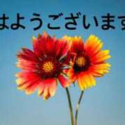 ヒメ日記 2024/06/11 10:16 投稿 ゆめの ぷるるん小町 京橋店