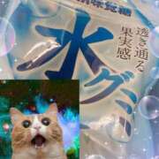 ヒメ日記 2025/02/08 23:45 投稿 天乃　れい Eureka！EGOIST～エゴイスト～-美とエロスの饗宴