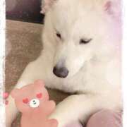 ヒメ日記 2025/02/12 01:49 投稿 天乃　れい Eureka！EGOIST～エゴイスト～-美とエロスの饗宴