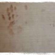 ヒメ日記 2025/03/14 01:48 投稿 天乃　れい Eureka！EGOIST～エゴイスト～-美とエロスの饗宴