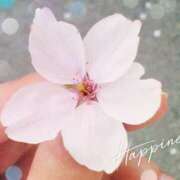 ヒメ日記 2025/04/09 14:57 投稿 天乃　れい Eureka！EGOIST～エゴイスト～-美とエロスの饗宴