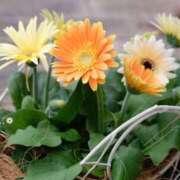 ヒメ日記 2025/04/18 20:36 投稿 天乃　れい Eureka！EGOIST～エゴイスト～-美とエロスの饗宴