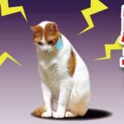 ヒメ日記 2025/05/11 01:41 投稿 天乃　れい Eureka！EGOIST～エゴイスト～-美とエロスの饗宴