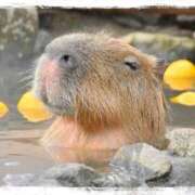 ヒメ日記 2025/06/13 01:32 投稿 天乃　れい Eureka！EGOIST～エゴイスト～-美とエロスの饗宴