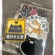 ヒメ日記 2025/06/28 01:13 投稿 天乃　れい Eureka！EGOIST～エゴイスト～-美とエロスの饗宴