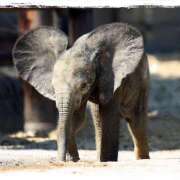 ヒメ日記 2025/09/19 21:03 投稿 天乃　れい Eureka！EGOIST～エゴイスト～-美とエロスの饗宴