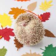 ヒメ日記 2025/09/26 15:06 投稿 天乃　れい Eureka！EGOIST～エゴイスト～-美とエロスの饗宴