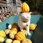 ヒメ日記 2025/10/11 18:09 投稿 天乃　れい Eureka！EGOIST～エゴイスト～-美とエロスの饗宴