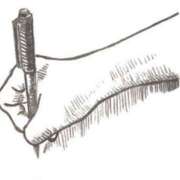 ヒメ日記 2026/01/09 20:36 投稿 天乃　れい Eureka！EGOIST～エゴイスト～-美とエロスの饗宴