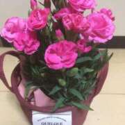 ヒメ日記 2025/05/11 21:38 投稿 森下 つぐみ ほっこりーヌ谷九店